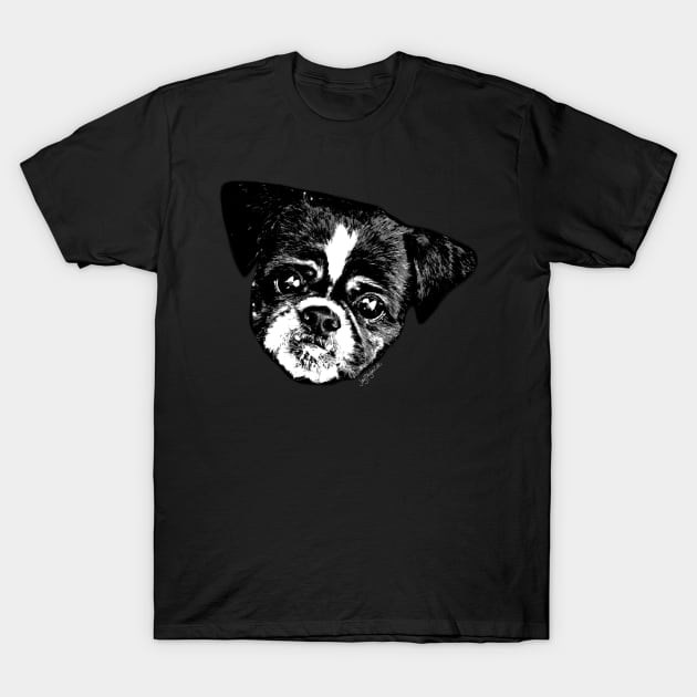 Shaved Tzu T-Shirt by jaytees